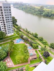Blk 323D Punggol Bayview (Punggol), HDB 4 Rooms #559462841